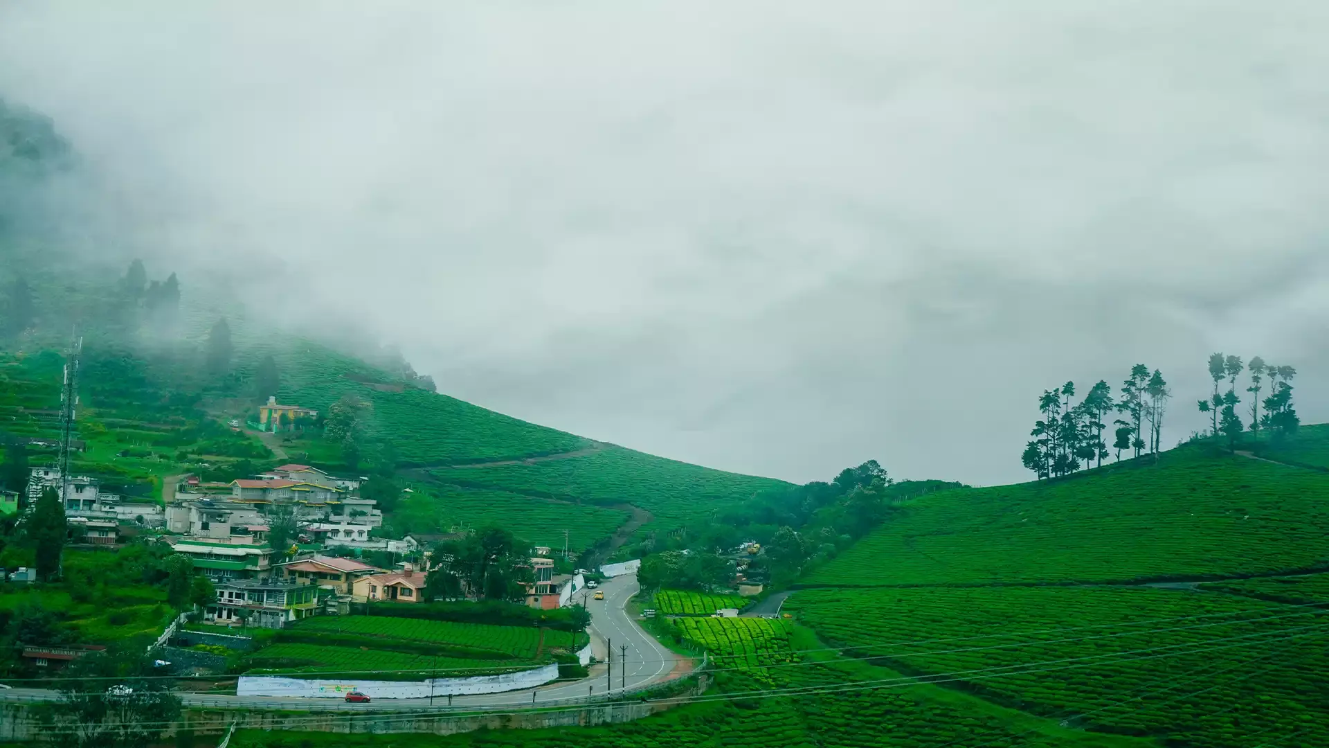 ooty view
